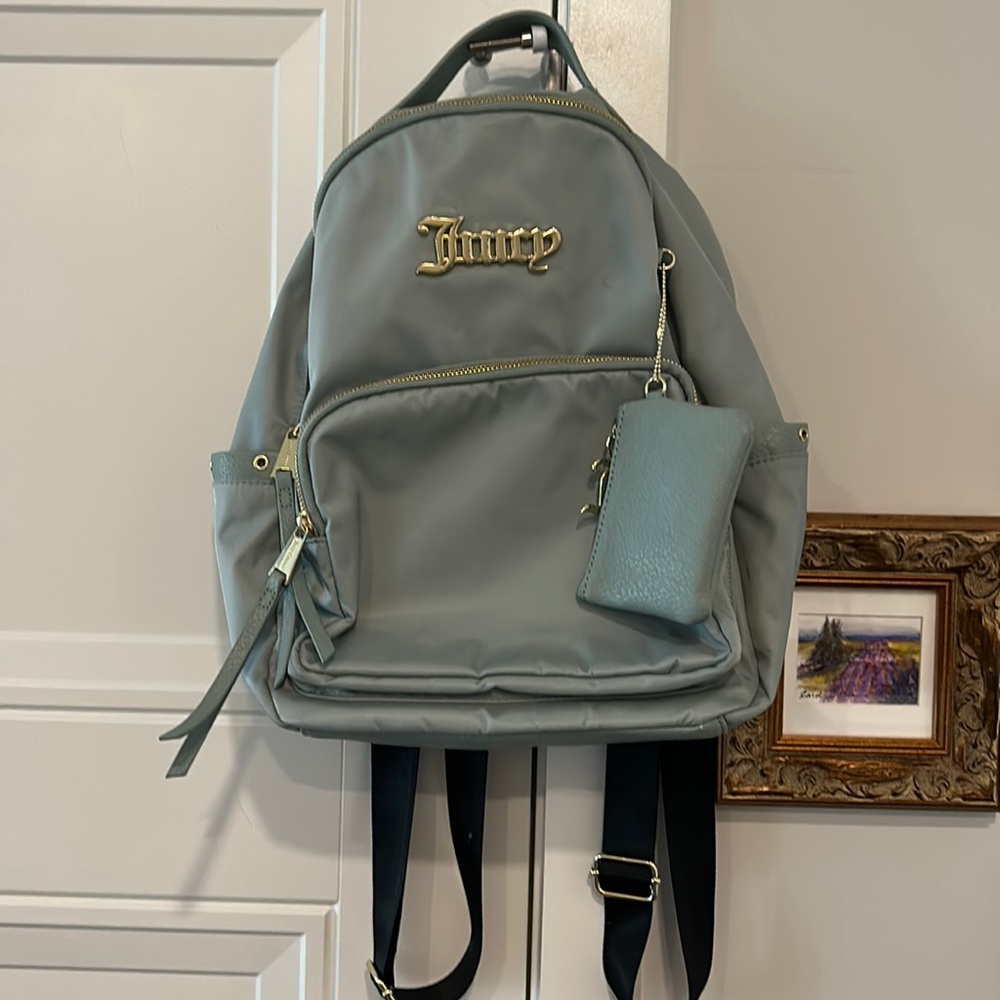 Juicy small sage green back pack